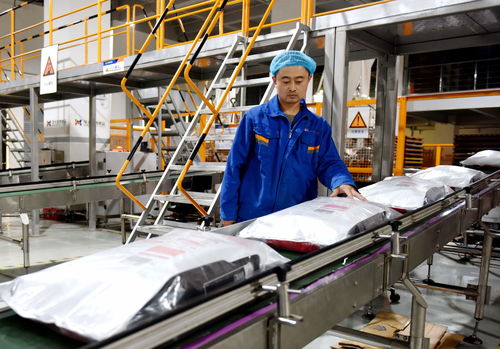 河北邢臺 從“寵物食品”到“產業矩陣”的躍遷之路