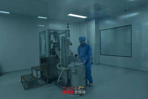 泰安各縣市區(qū) 功能區(qū)迎來重點(diǎn)項目建設(shè) 年中考 一