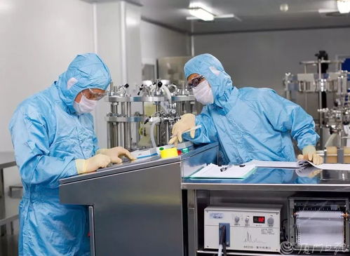 廈門,長風破浪勇立潮頭 禮贊中國改革開放40周年